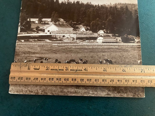 Carnation Research Farm Promotional Booklet Dairy Farming Collectible