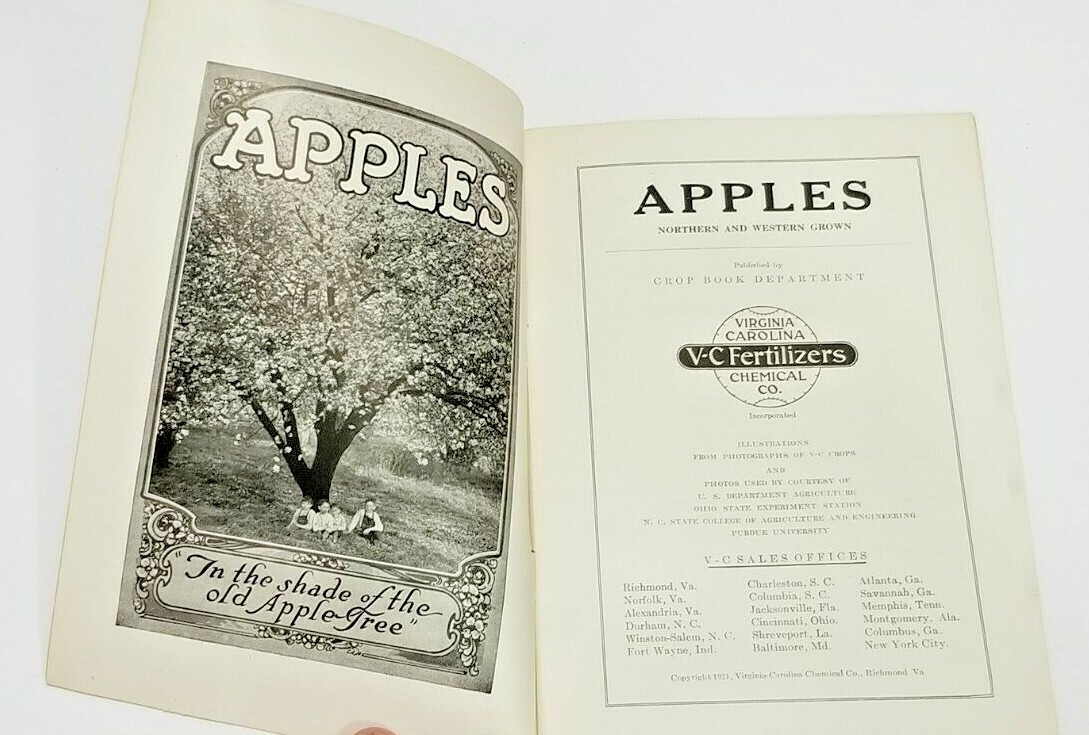 Vintage 1921 Advertising Pamphlet APPLE GROWING Virginia Carolina Fertilizer