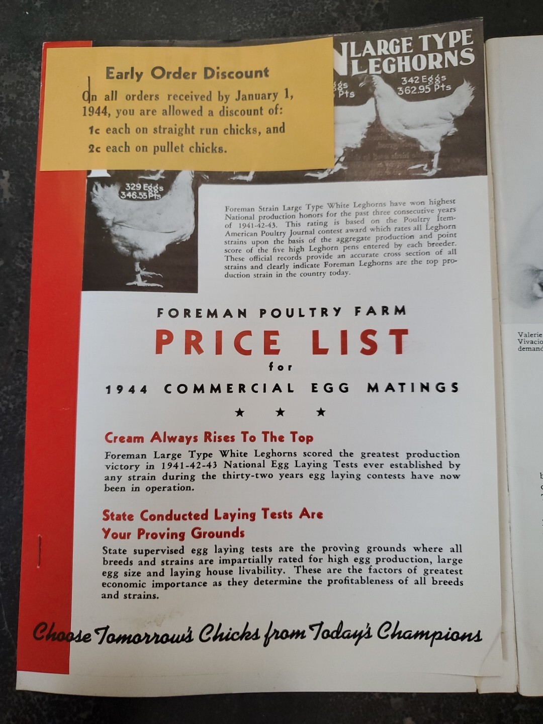1944 Foreman Poultry Farm Catalog Chickens Beautiful & RARE 🐔