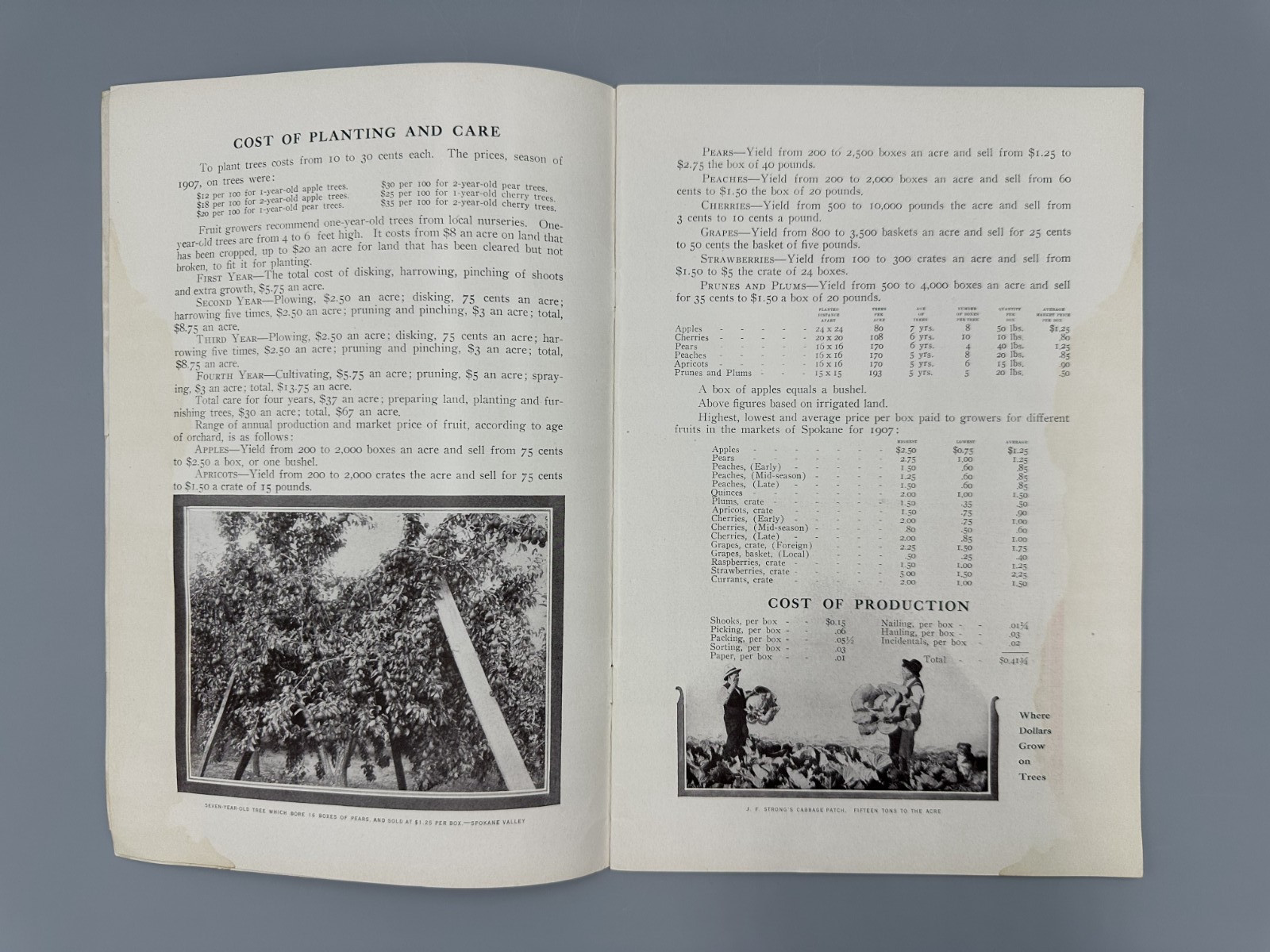 1908 SPOKANE COUNTRY Farming APPLE ORCHARD Fruit HOLT STEAM ENGINE Chamber MAP