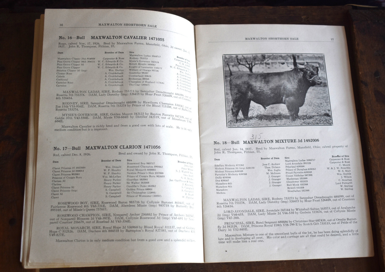Vintage 1928 Shorthorn Cattle Auction Catalog Thompson Estate Fithian IL
