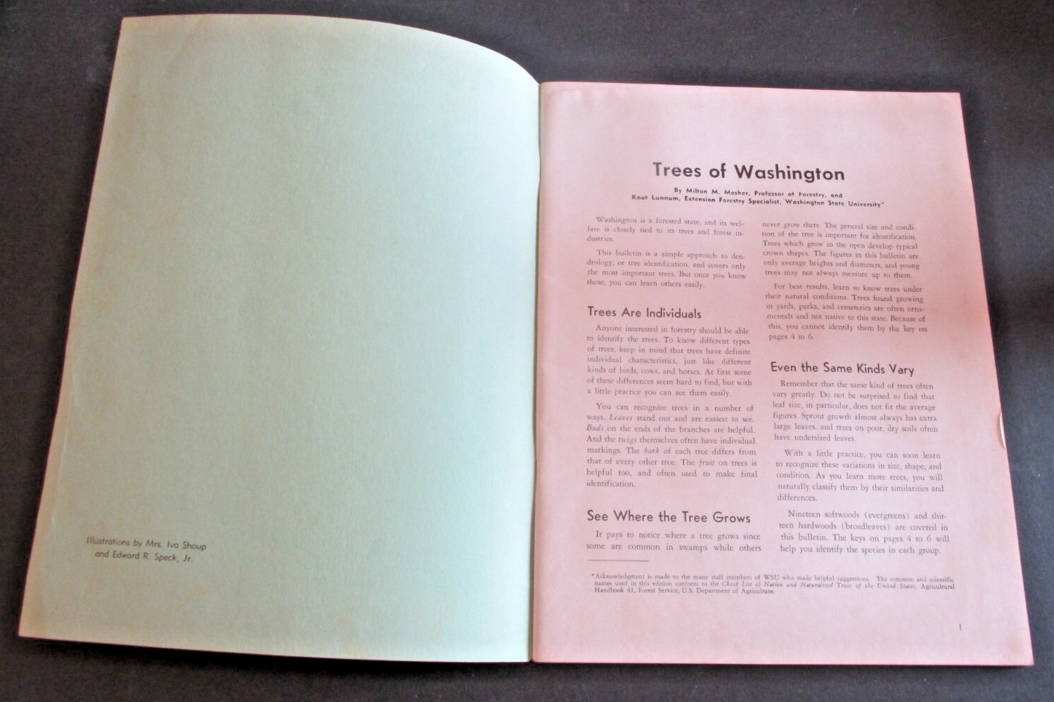 VTG 1963 Reprint of 1914 Bulletin Trees of Washington State King County 4H Club