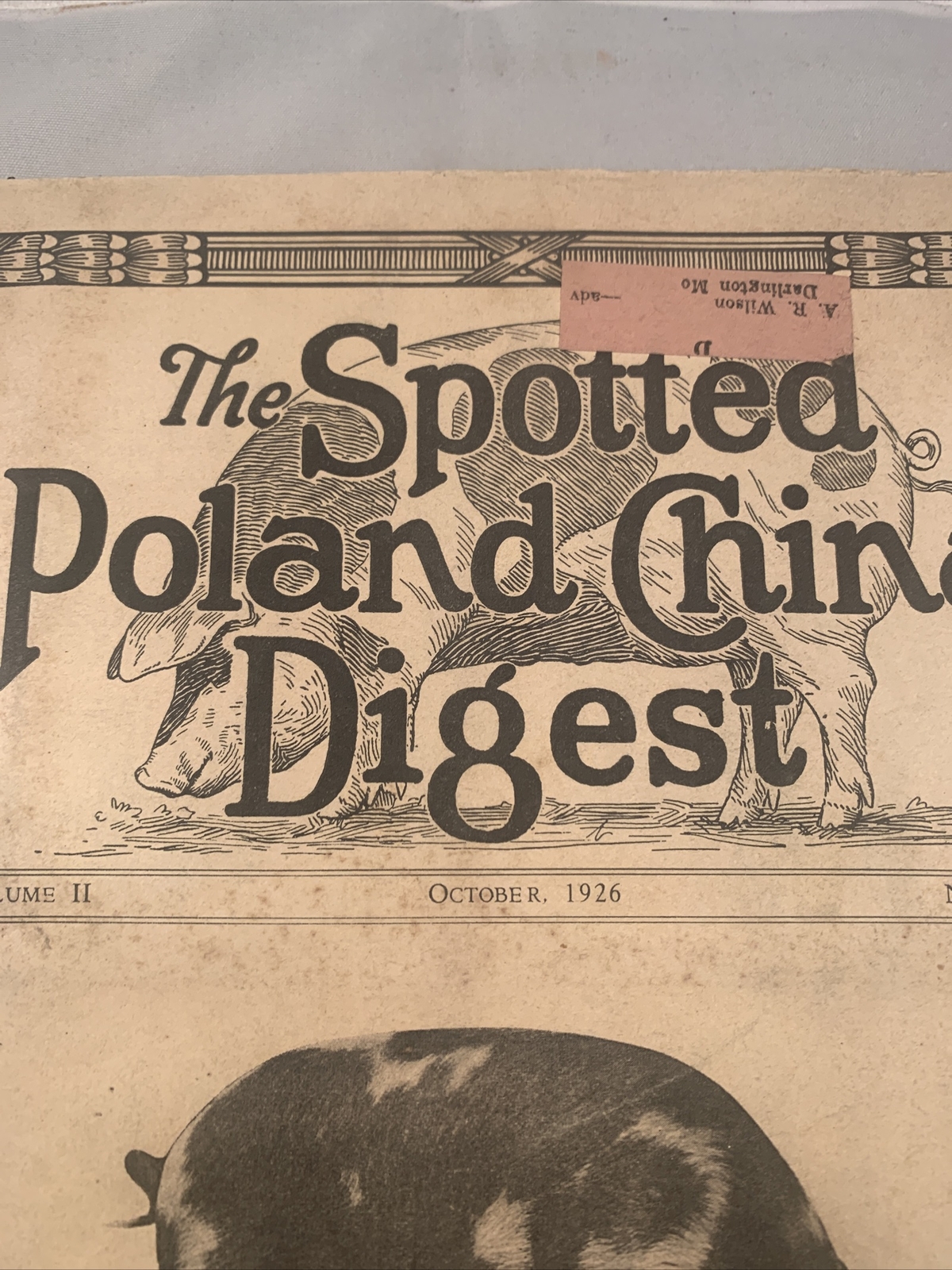 Spotted Poland China Pig Hog Digest October 1926 Missouri Kansas City Catalog
