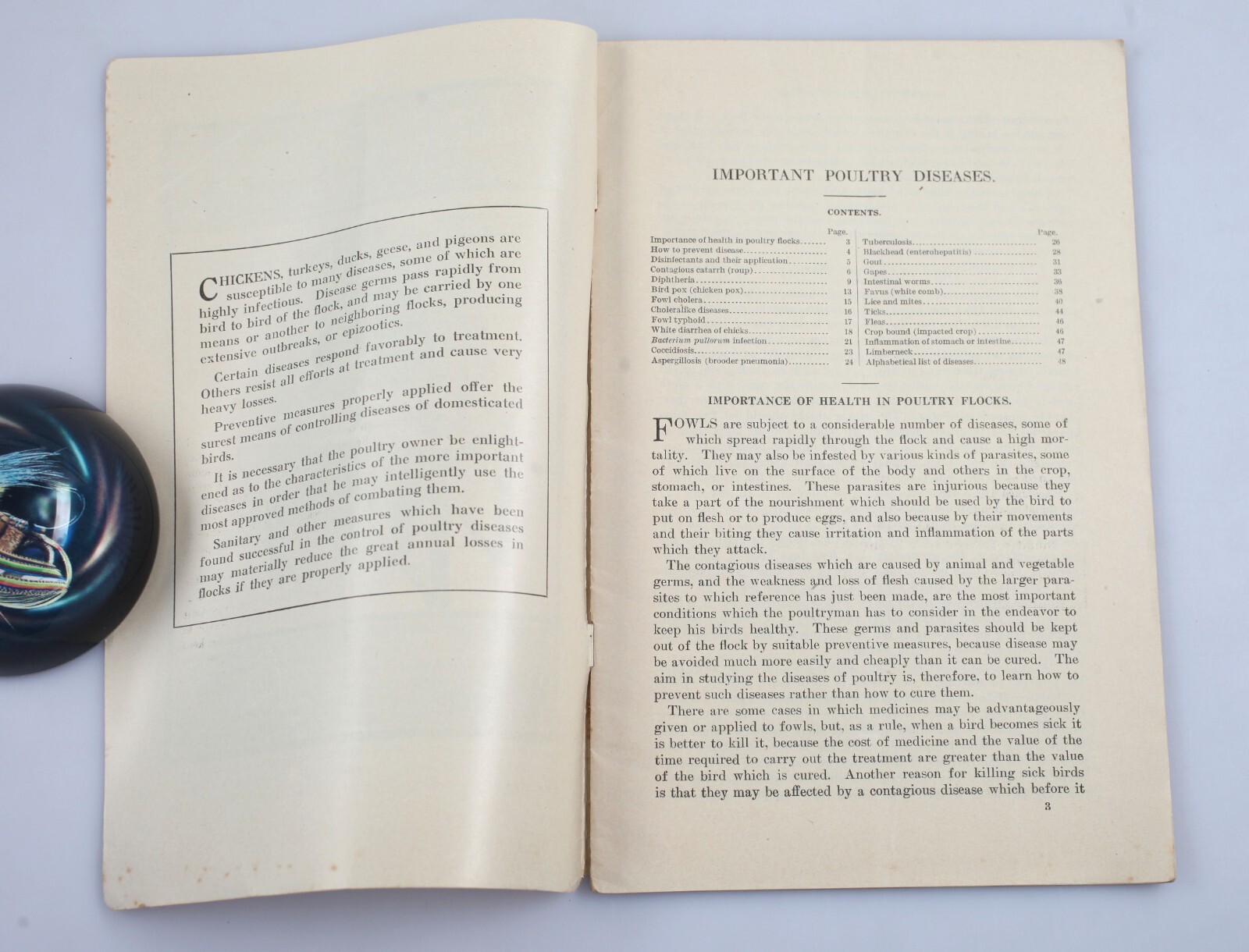 Vintage 1918 USDA Farmer&rsquo;s Bulletin Important Poultry Diseases Booklet Chickens