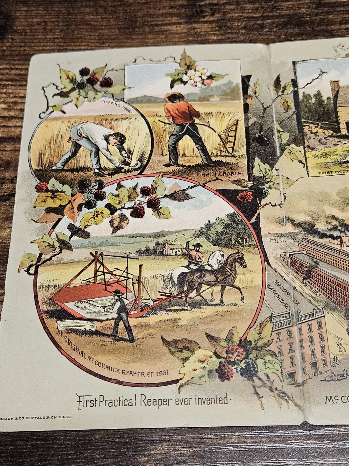 1886 McCormick Harvesting Brochure Large Trade Ad Harvester & Binder