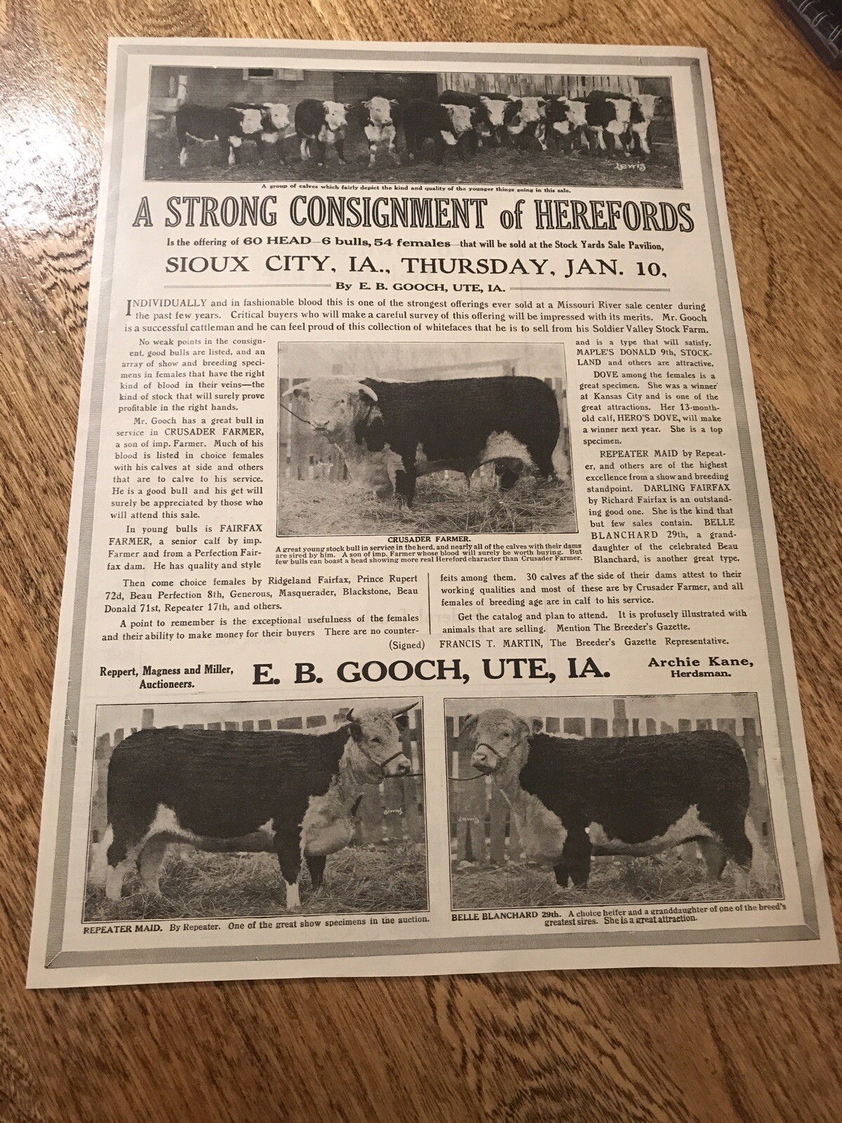 1917 Cattle Livestock Public Sale Poster – Sioux City – Iowa – Cow Advertising
