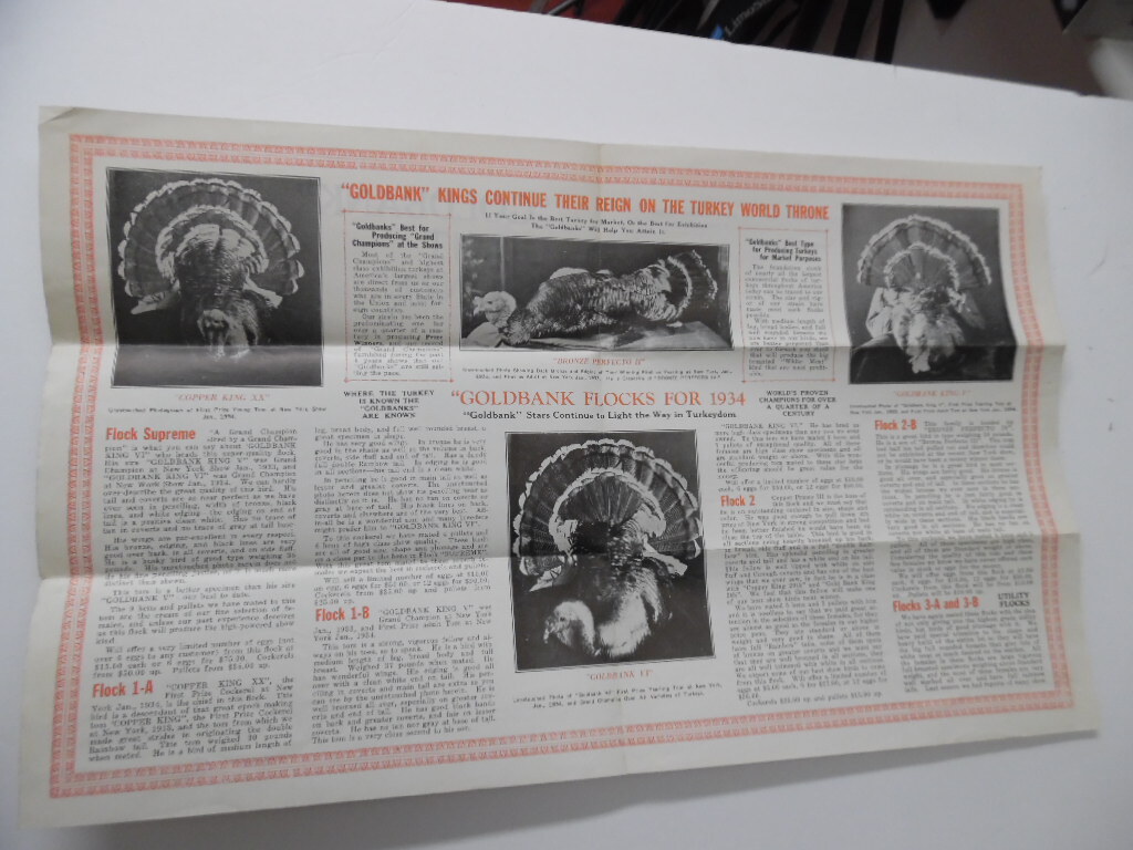 1934 Goldbank Giant Bronze Turkey Brochure Bird Bros Meyersdale Poultry Vintage