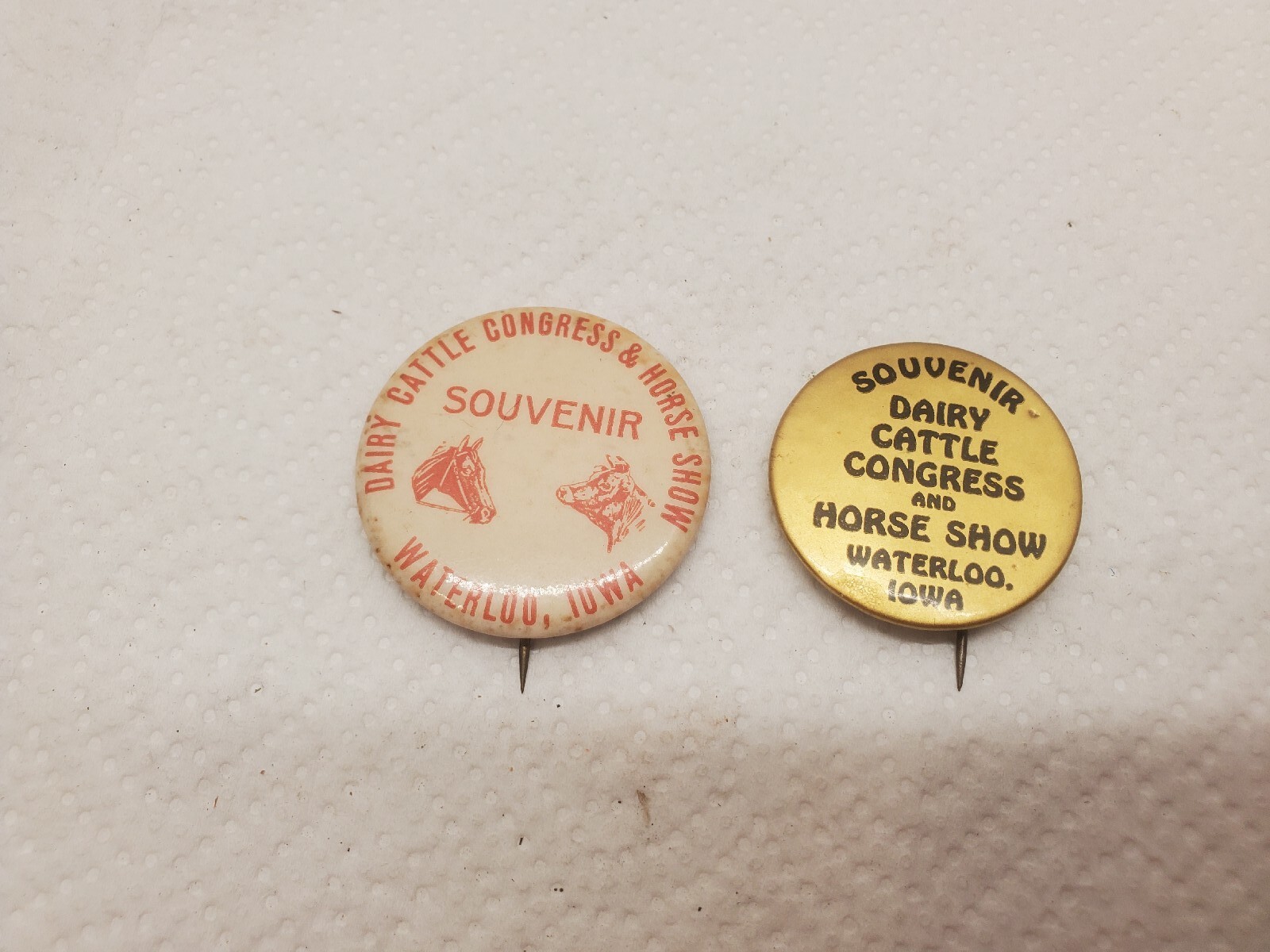 2 Metal Pinback Buttons Souvenir Dairy Cattle Congress Horse Show Waterloo Iowa