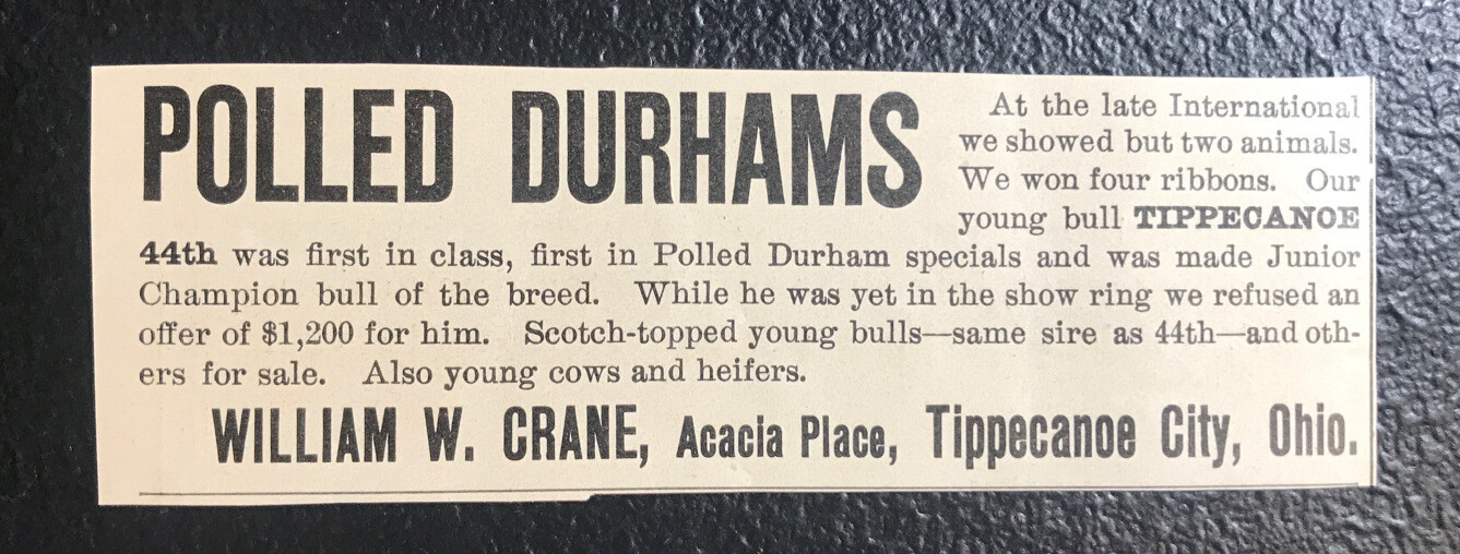 1902 William Crane Farm Cattle Cow Advertising – Tippecanoe City – Ohio