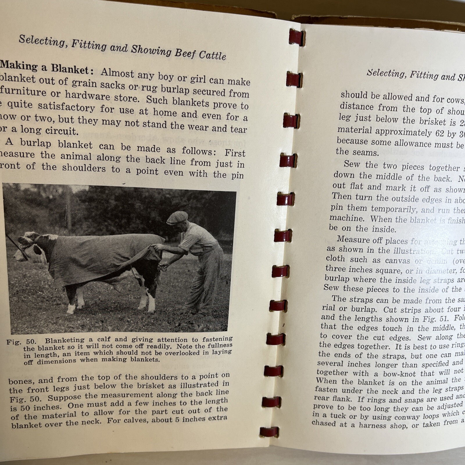 Beef Cattle Selecting Fitting Showing Nord Be Lattig Fourth, Edition, 1948