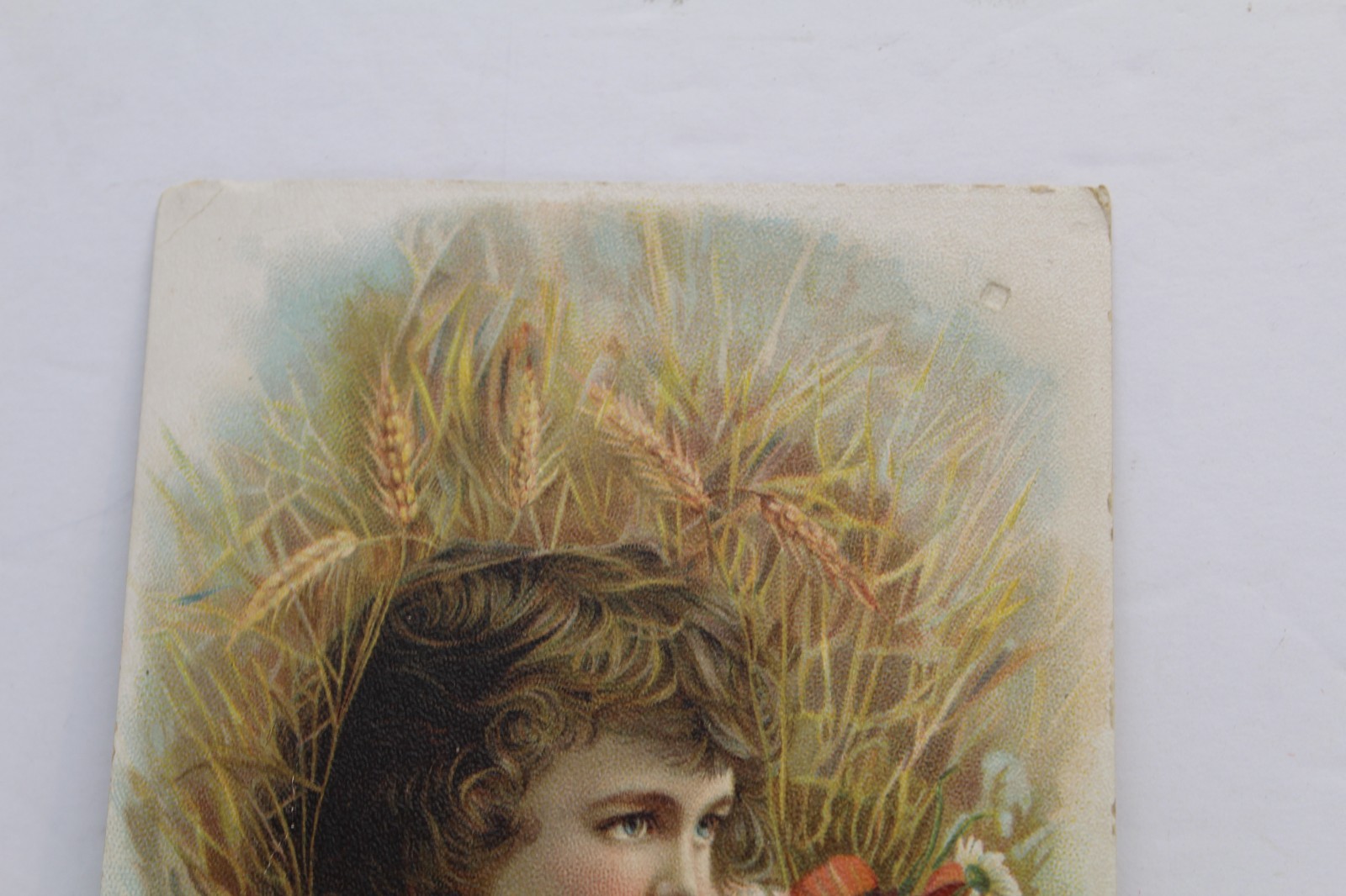 1890s Milwaukee Harvester Co. Farm Implements Ad Trade Card Mifflinburg Pa