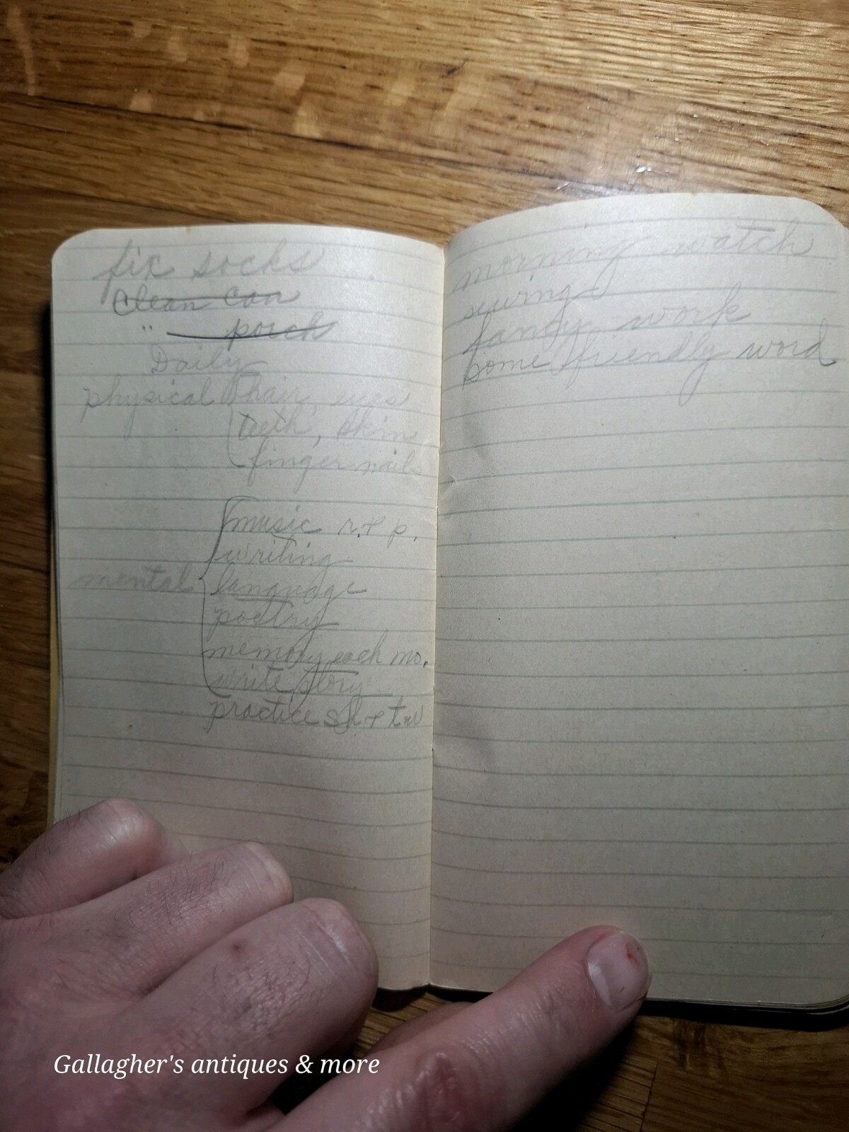 1923 Baugh & Sons Notepad Fertilizer Warren & son High towers NC north carolina