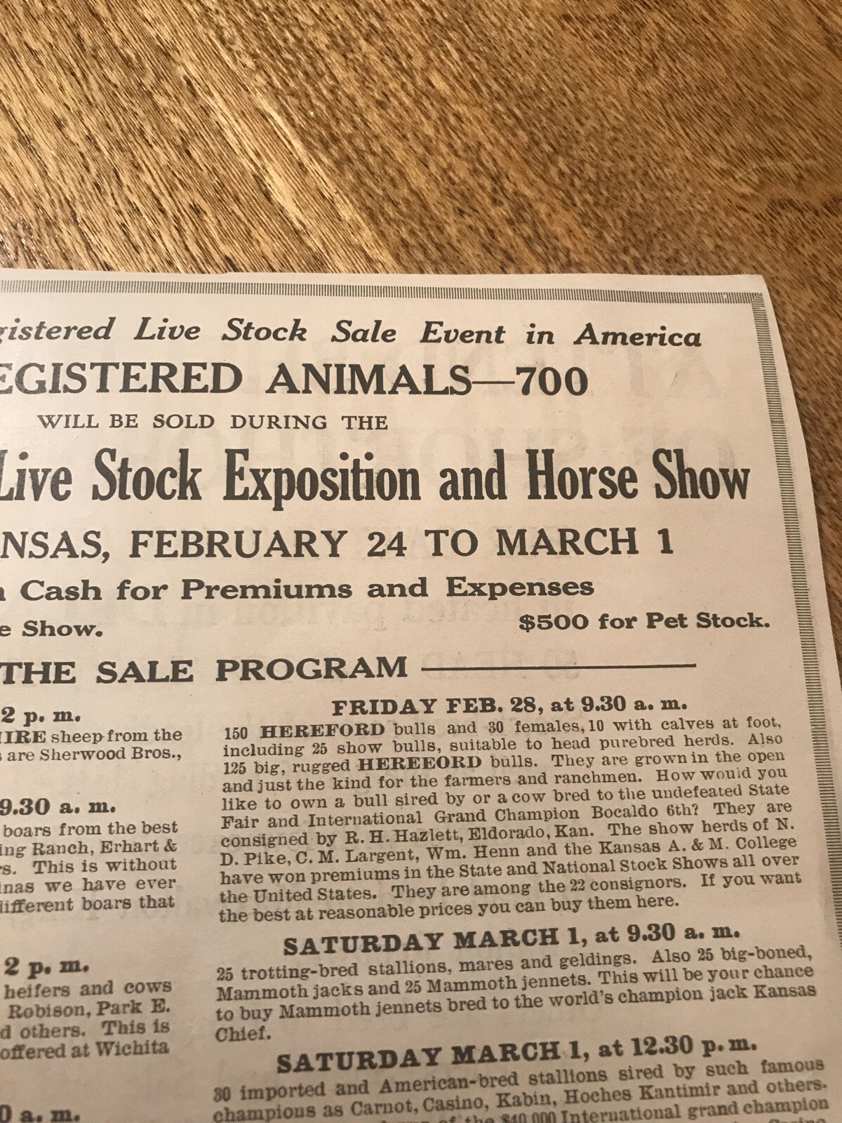 1919 Cattle Livestock Public Sale – Wichita – Kansas – Cow Advertising