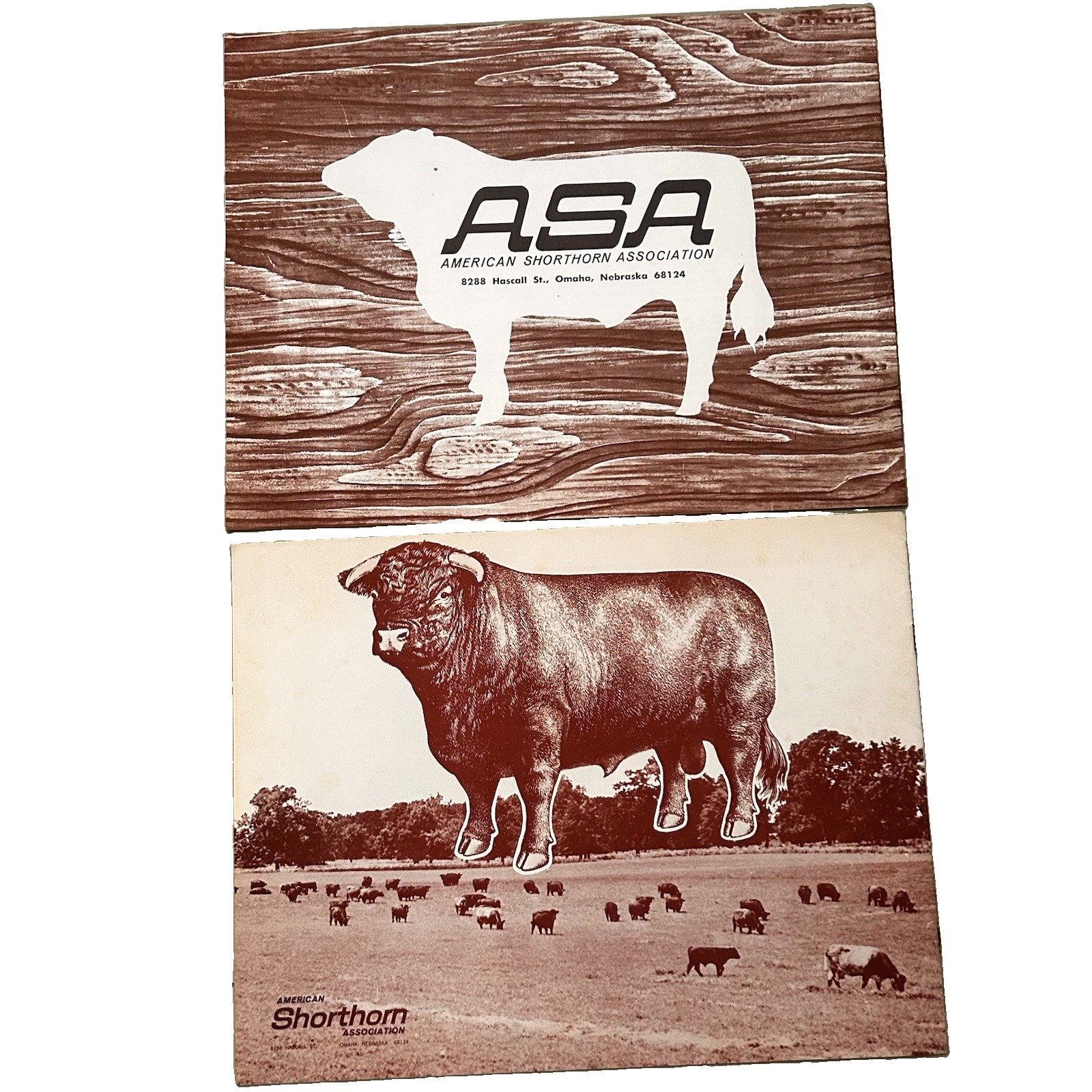 American Shorthorn Association Quality Traits Of Cattle In Agriculture