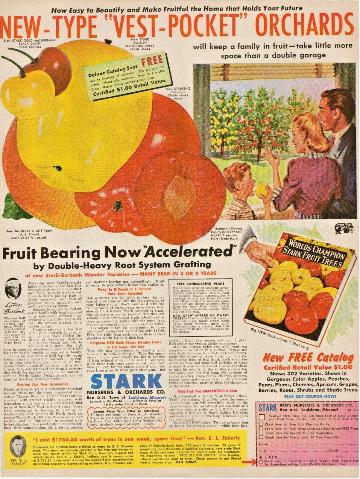 1949 Stark Nurseries & Orchards Co. Stark-Fruit Trees New Book Vintage Print Ad