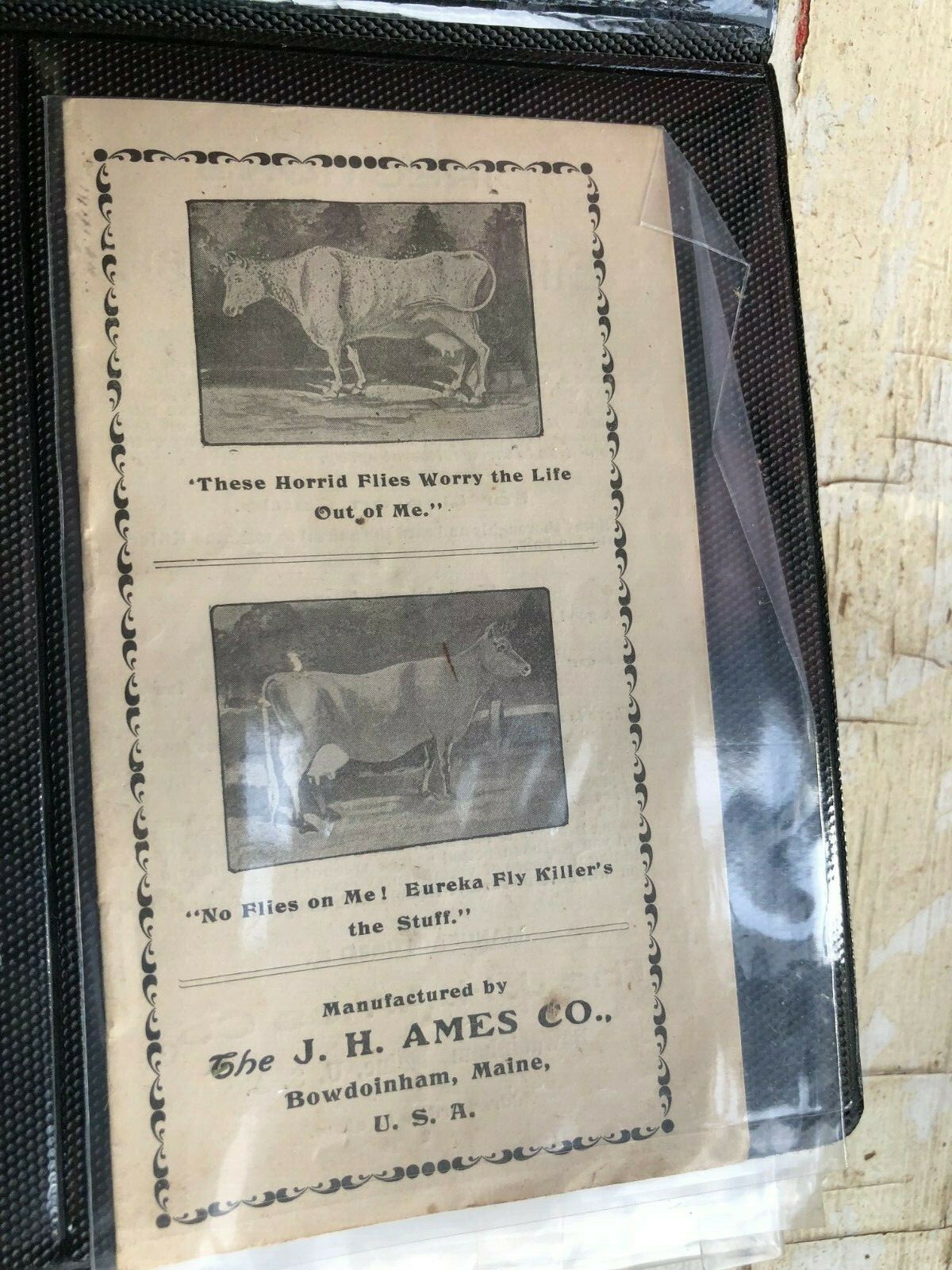 early 1900s J.H. AMES CO farm animal medicine brochure (MISC-4142)