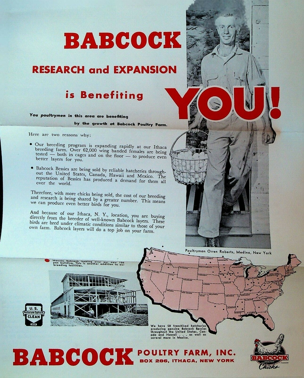 Babcock Poultry Farm Ithaca NY Ad Brochure Hens Babcock Bessies Lotties 1958