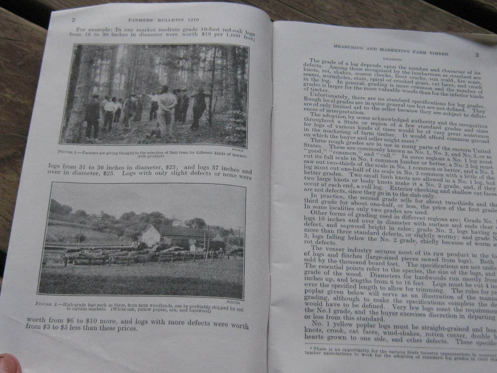 1940 US Department Agriculture Farmer&rsquo;s Bulletin Measuring Marketing Farm Timber