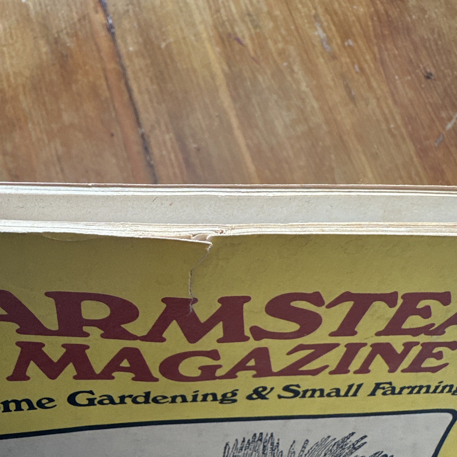 Farmstead Magazine Home And Gardening & Small Farming Fall 1977