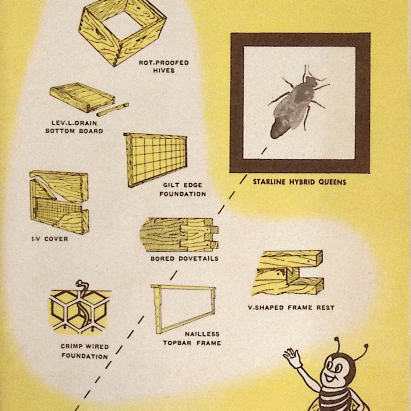 1956 Lewis Dadant Bee Supplies Catalog Dadant & Sons Inc Hamilton IL