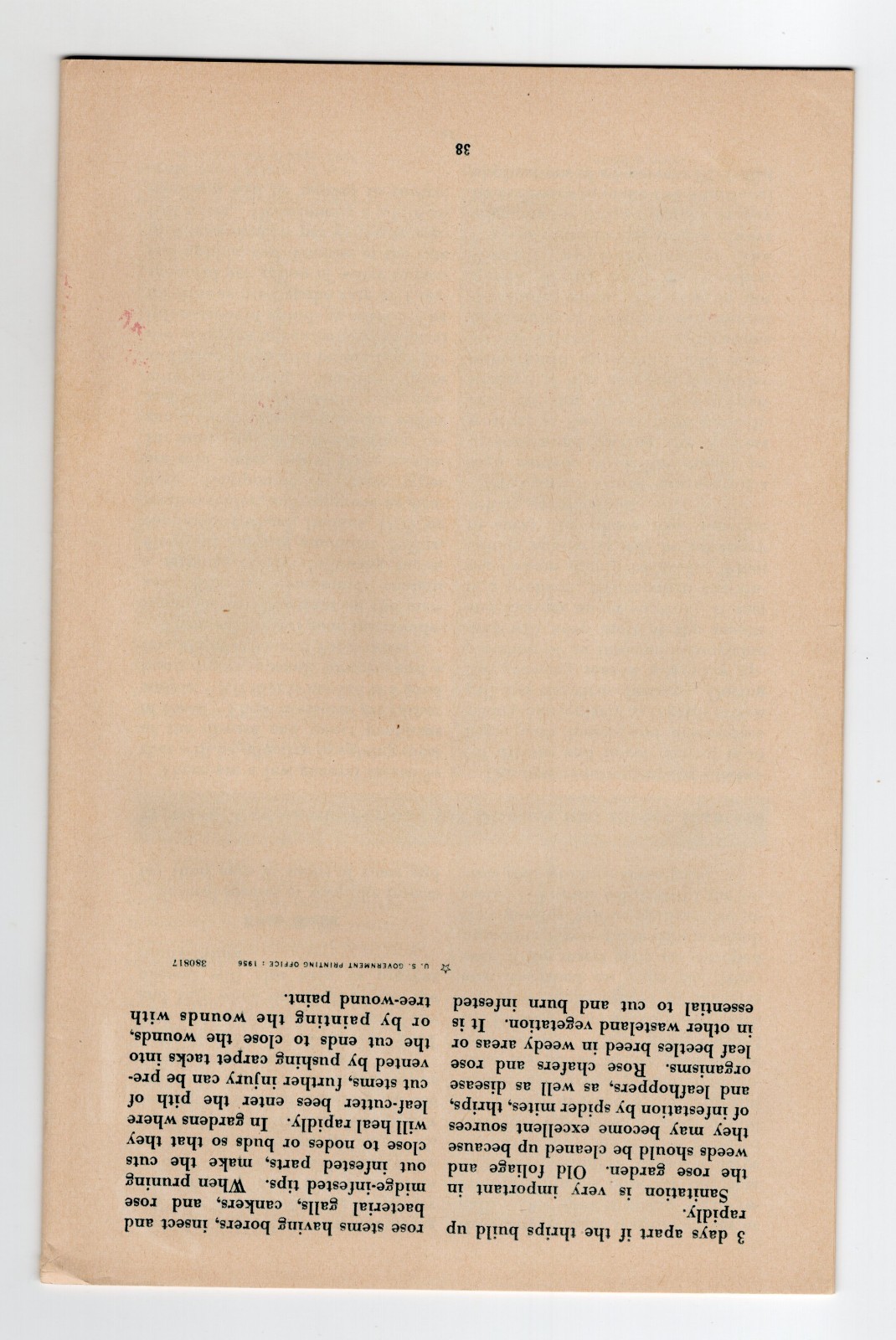 U. S. Department of Agriculture Home and Garden Bulletin no. 25 Roses – XL4B