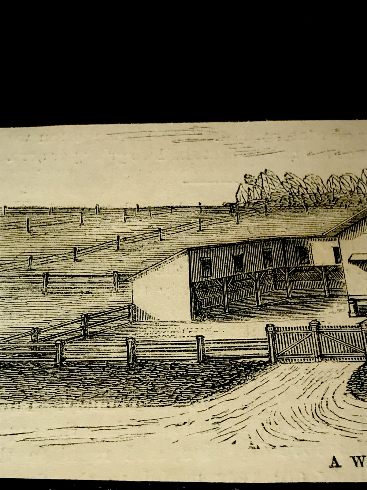 ORIGINAL 1872 Western Cattle Barn Farm Engraving Advertising