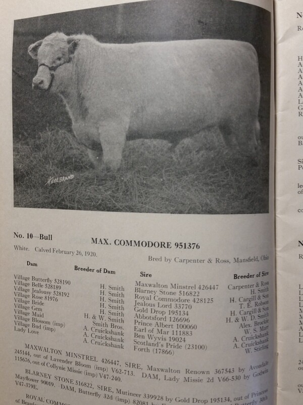 1921 Shorthorn Cattle Auction Catalog Stock Yards Chicago Carpenter & Ross OH
