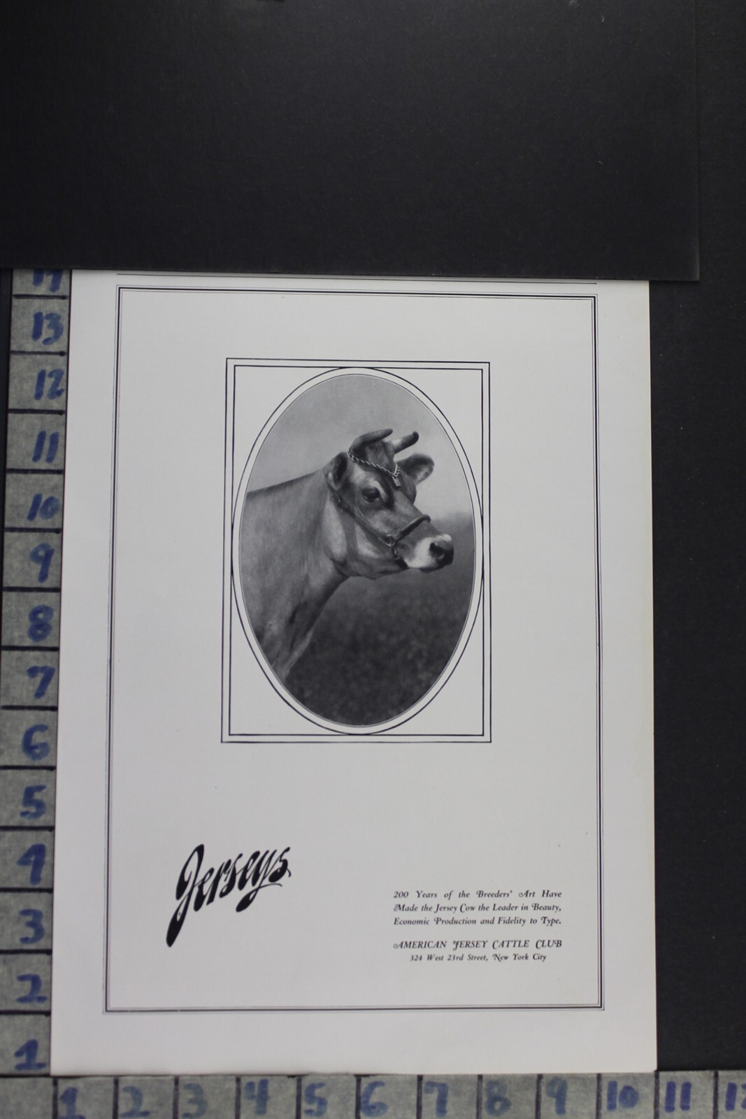 1924 AMERICAN JERSEY CATTLE CLUB COW ART AGRICULTURE FARM VINTAGE AD DB09