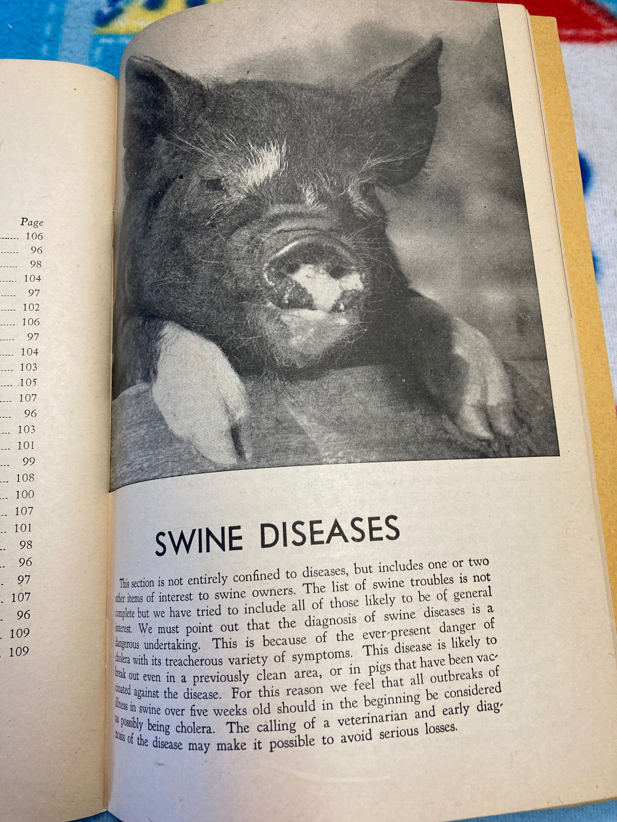 Vintage How to Treat Common Ailments of Farm Animals Hoard&rsquo;s Dairyman 1950