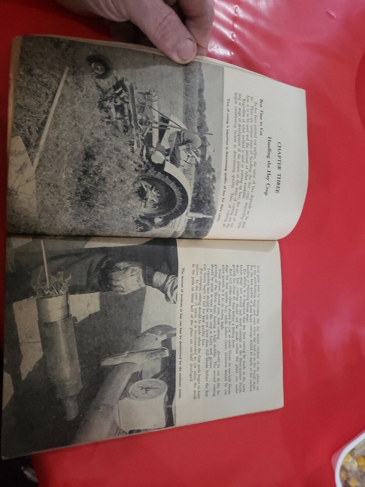 HOARDS DAIRYMAN FEED GUIDE CATTLE SWINE POULTRY FARM BOOK 1954 INSTRUCTION
