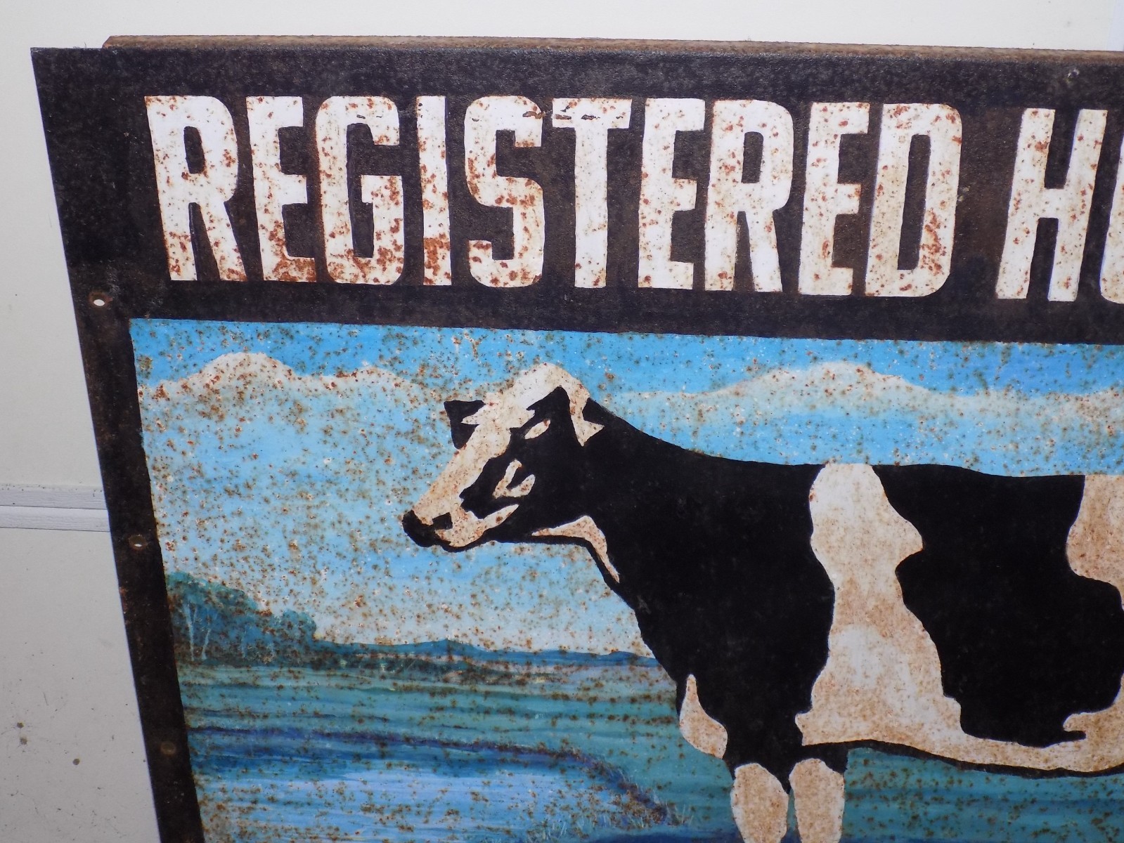 Vintage Registered Holsteins Double Sided Metal Sign