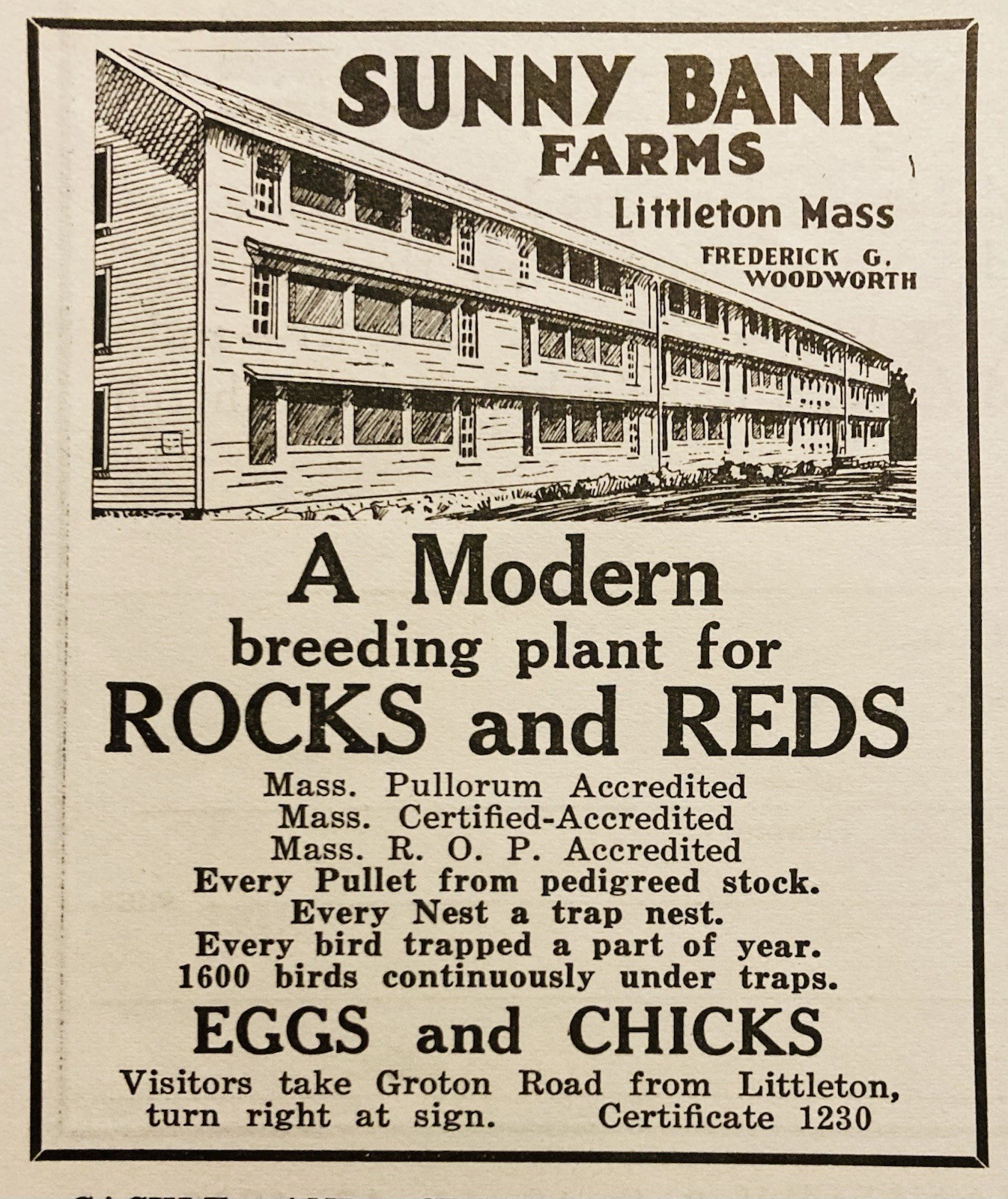 1934 AD.(XH82)~SUNNY BANK FARMS, LITTLETON, MASS. EGGS AND CHICKS FOR SALE