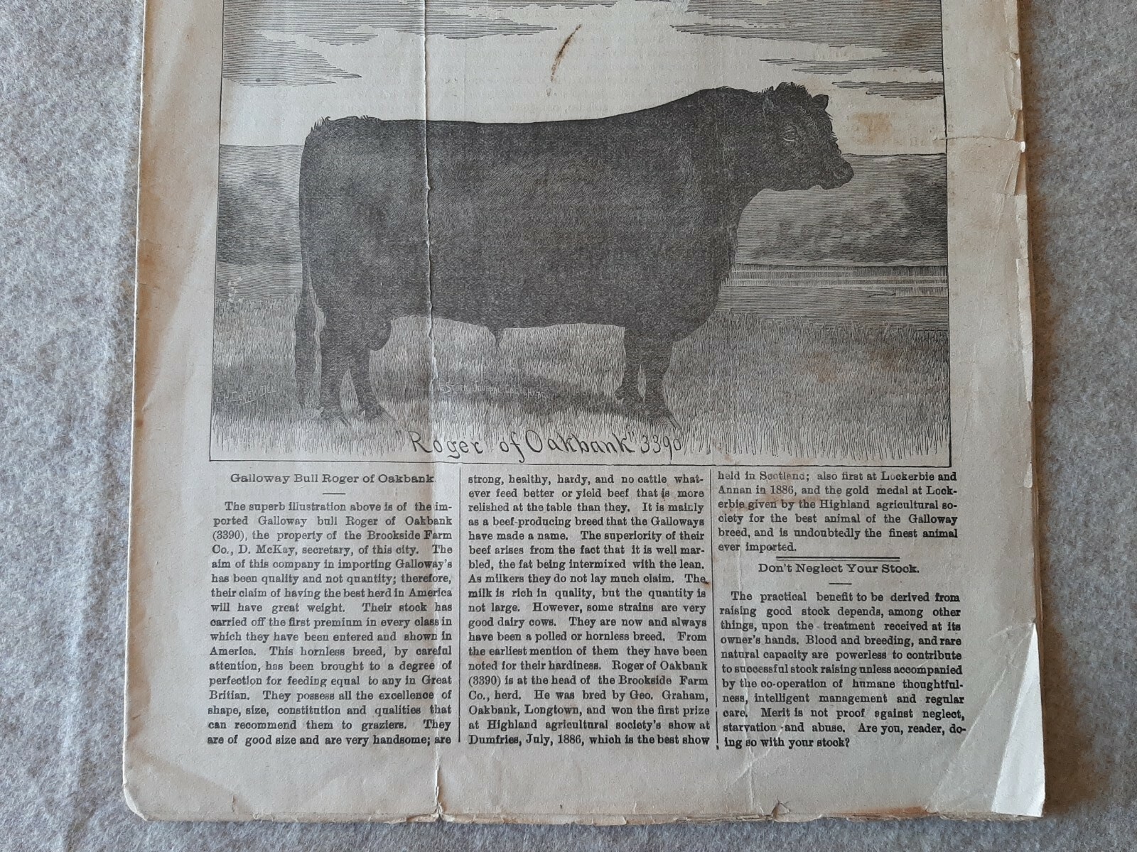 Jan. 1888 AMERICAN FARMER Magazine Fort Wayne Indiana No. 1 Vol. 8 Galloway Bull