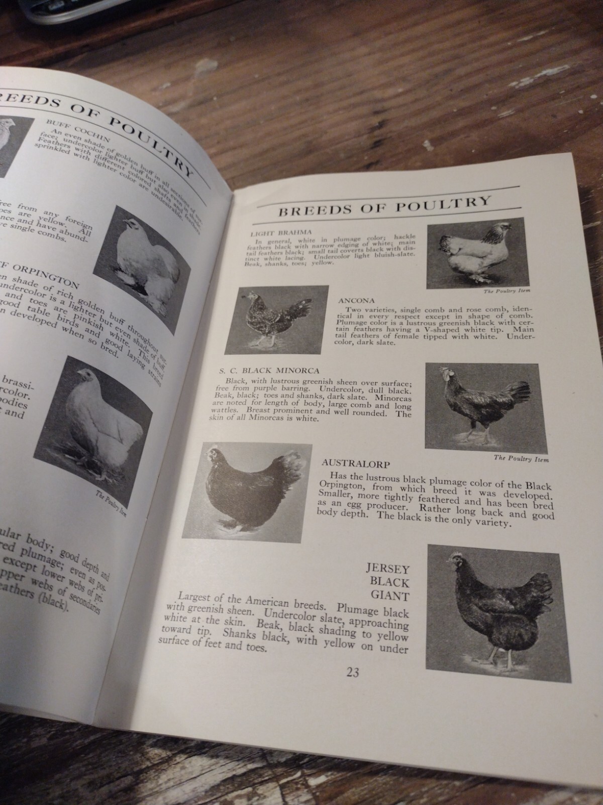 1933 ESHELMAN BOOK OF FARM INFORMATION Breeds Dairy Chickens Crops Photos