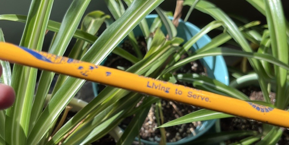 2 Future Farmers of America Vtg FFA Pencils Barn Silo Agriculture Unsharpened