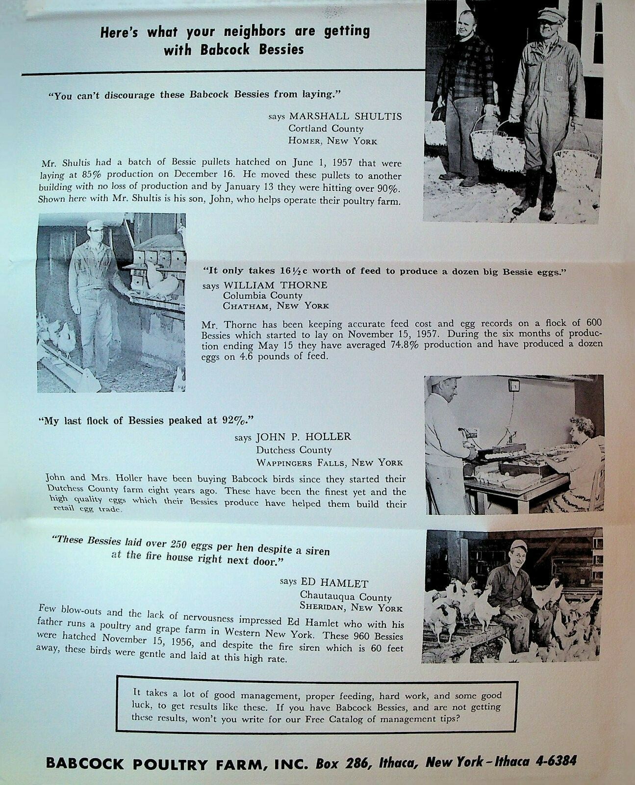 Babcock Poultry Farm 1958 Ithaca NY Ad Brochures Hens Babcock Bessies Lotties