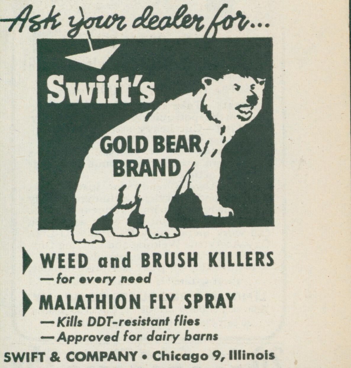 1955 Swifts Gold Beer Brand Weed Brush Fly Spray Dairy Barn Vintage Print Ad FJ1