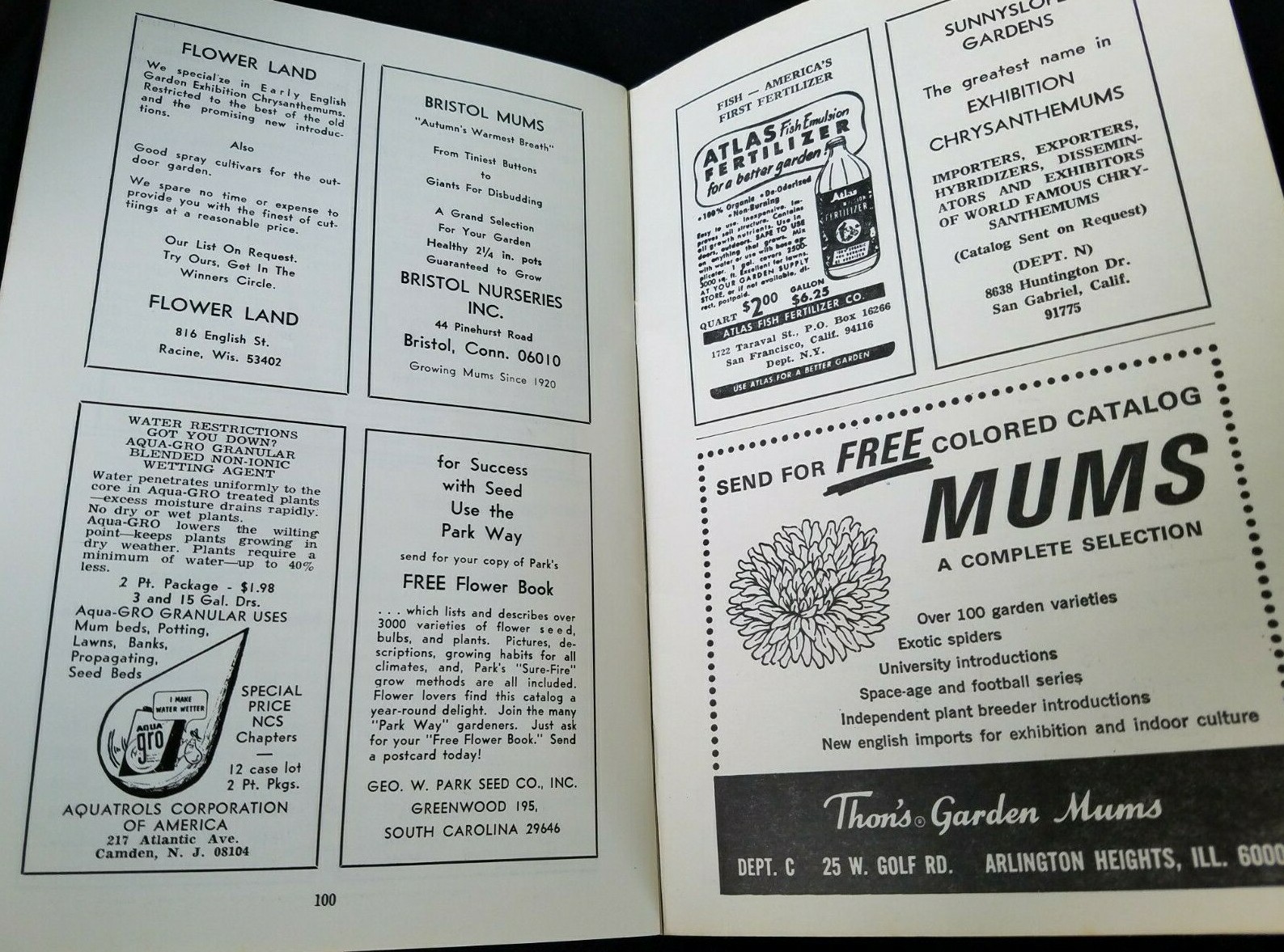 1967 National Chrysanthemum Society Bulletin Keyport NJ Member Info Gardening