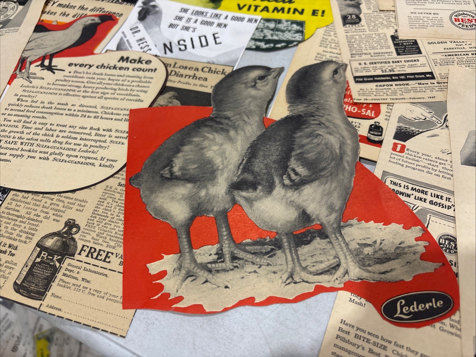 Lot Of 60 Chicken Poultry Egg Related Magazine Print ads 1930-50s