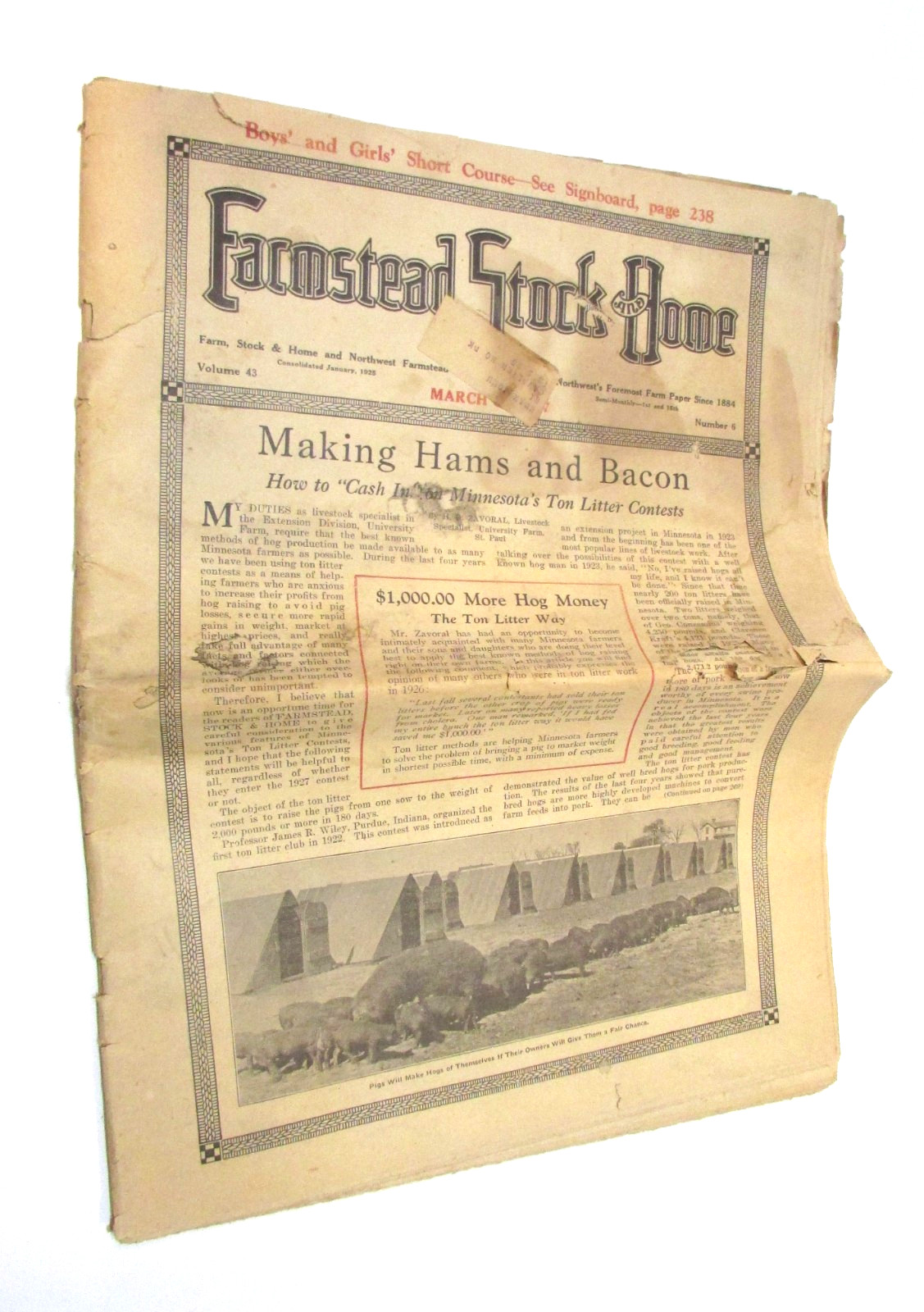 Primitive Old January 1925 Farmstead Stock Home Newspaper Antique Magazine 12×15