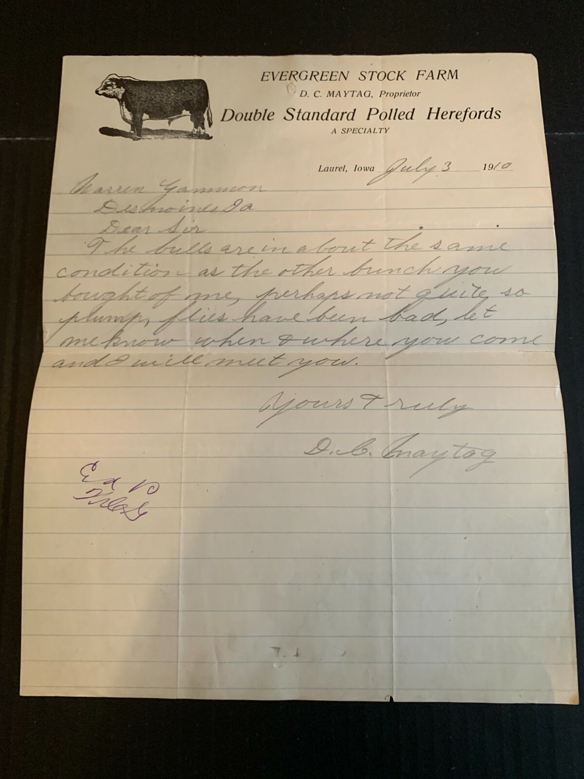 July 3 1910 Evergreen Stock Farms Polled Herefords Letterhead Laurel Iowa