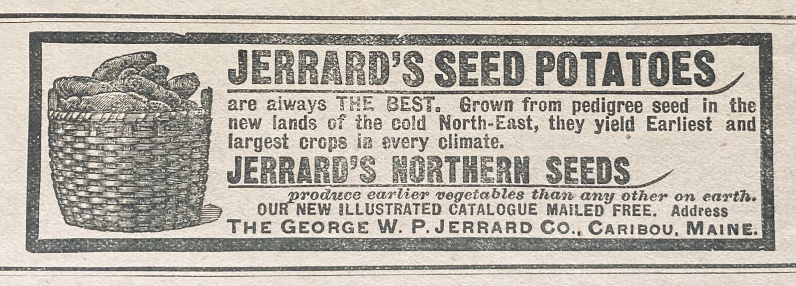 1896 AD.(XH45)~GEO. W.P. JERRARD CO. CARIBOU, MAINE. JERRARD’S SEED POTATOES