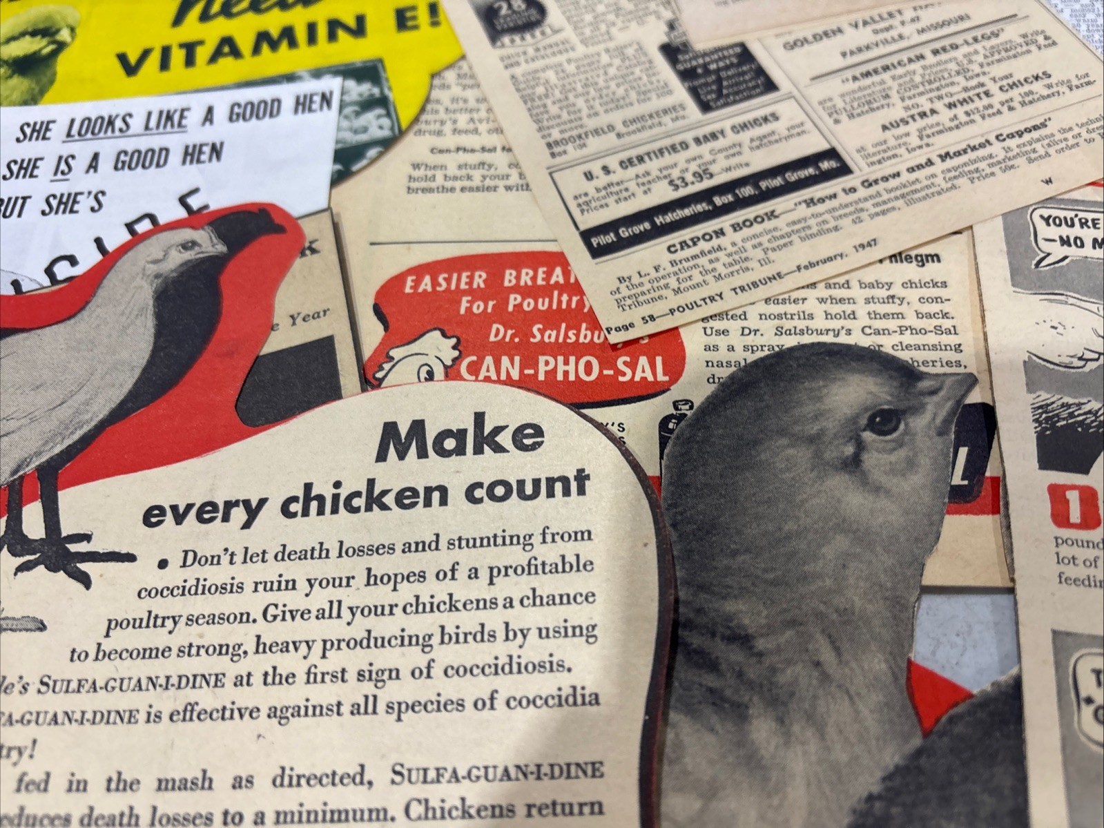 Lot Of 60 Chicken Poultry Egg Related Magazine Print ads 1930-50s