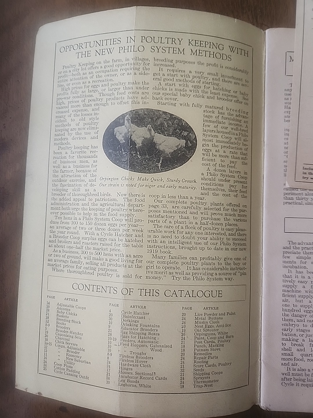 1919 Cycle Hatcher Co. Poultry Catalogue “The Profitable Home Poultry Plant”