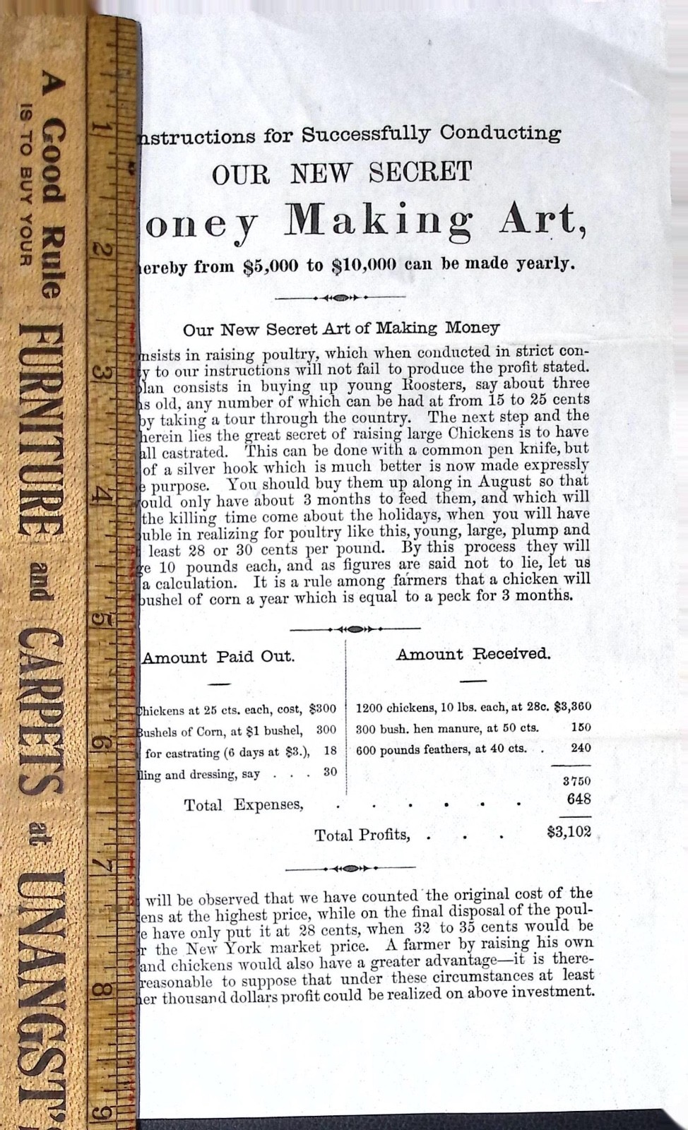 Antique Poultry Farming Brochure “Secret Money Making Art” Early 1900s Ephemera