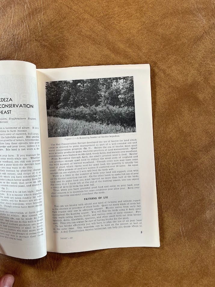 1948 US DEPARTMENT OF AGRICULTURE Bicolor Lespedeza QUAIL MANAGEMENT HUNTING