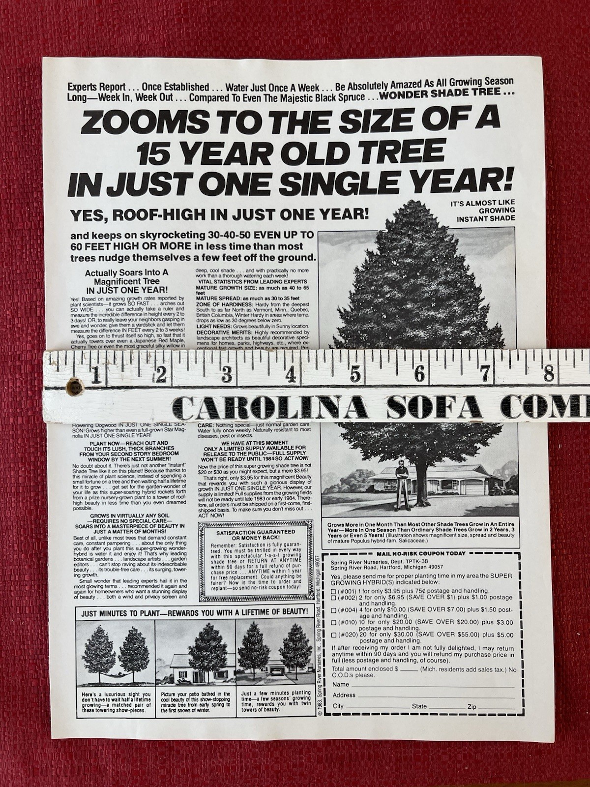 Spring Rivers Nurseries 1983 Print Ad Super Growing Hybrid Shade Trees Ad