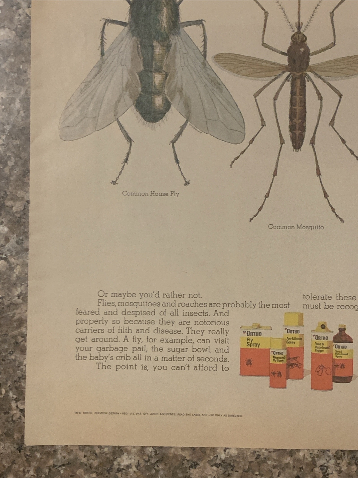 1971 Ortho Pest Control Chemicals PRINT AD House Fly Mosquito Cockroach VTG 70s