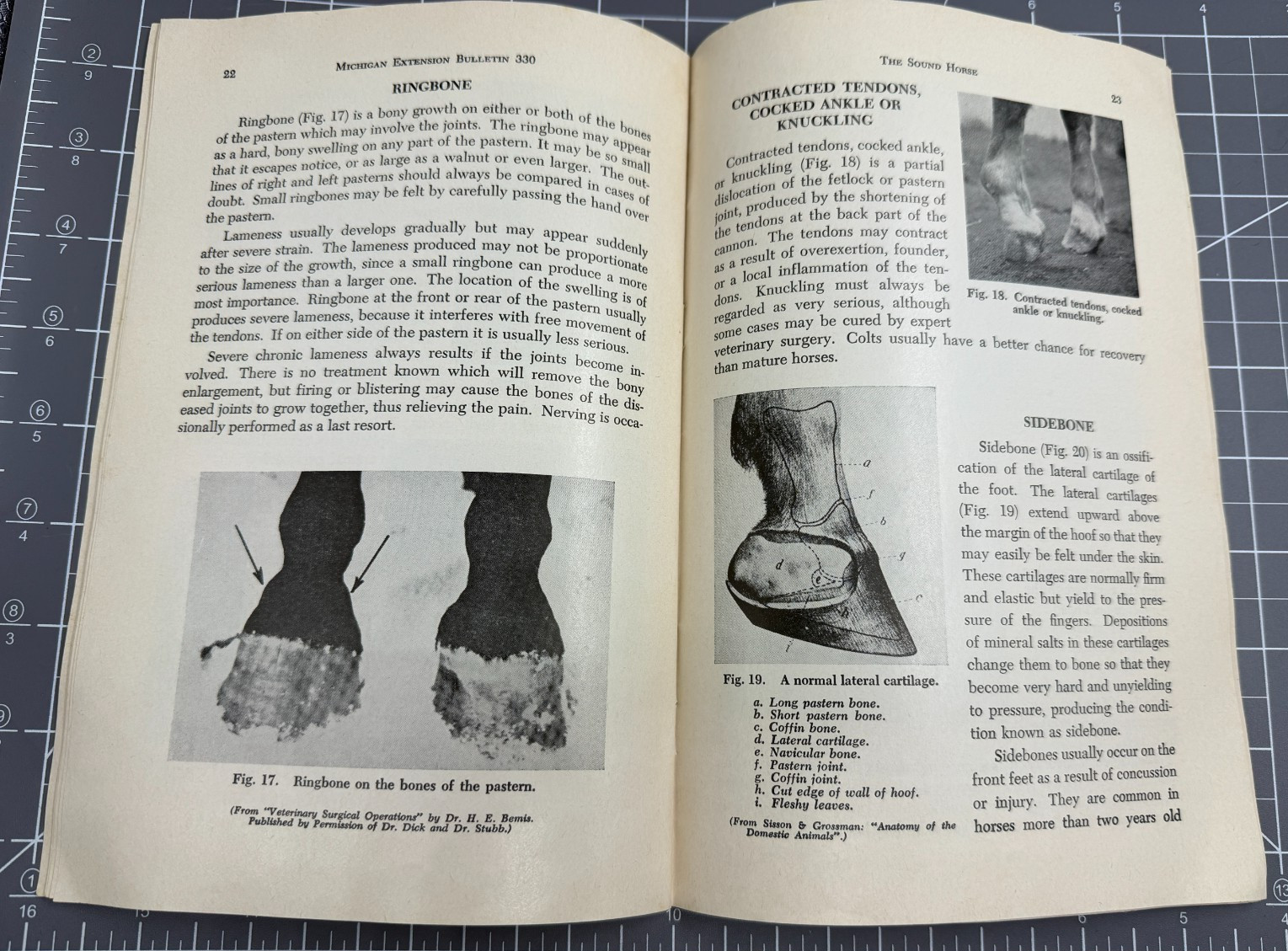 Vintage Feb. 1969 Pamphlet Booklet – The Sound Horse – Michigan State Unv. MSU