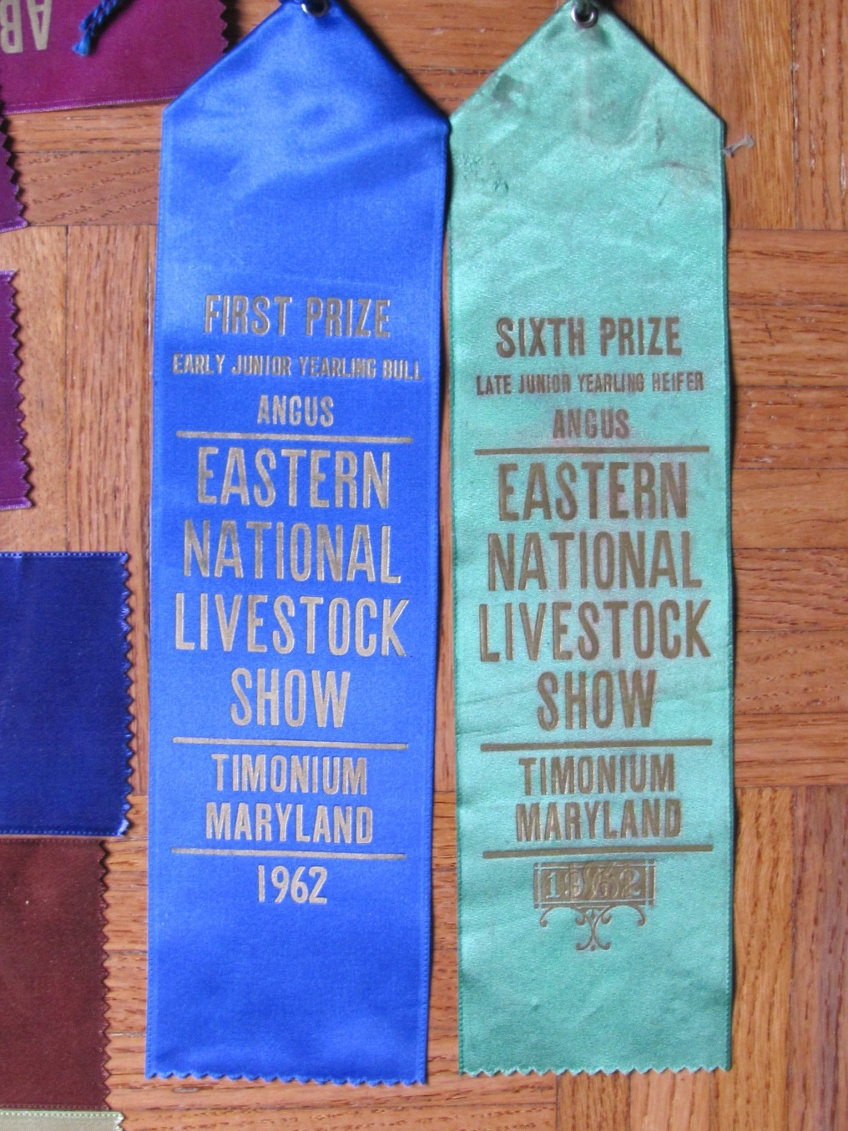 1958 62 FARM AWARD ANGUS BEEF CATTLE RIBBON EASTERN NATIONAL LIVESTOCK SHOW MD